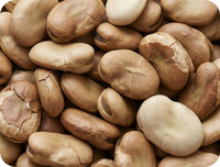 Fava bean protein isolate