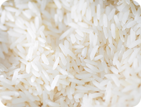 Rice protein isolate