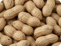 Roasted peanuts